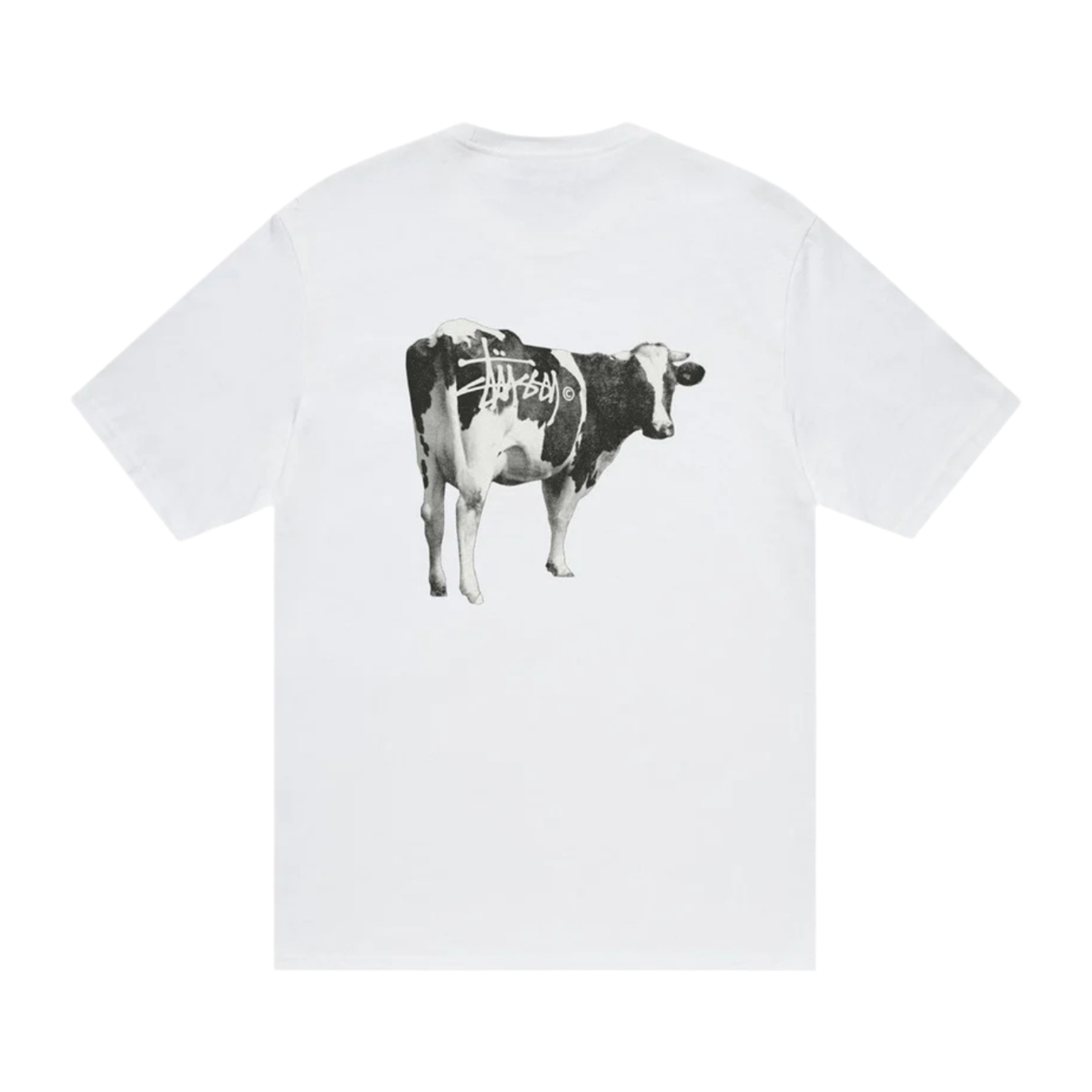 Stüssy Grassfed Tee White (SS24)