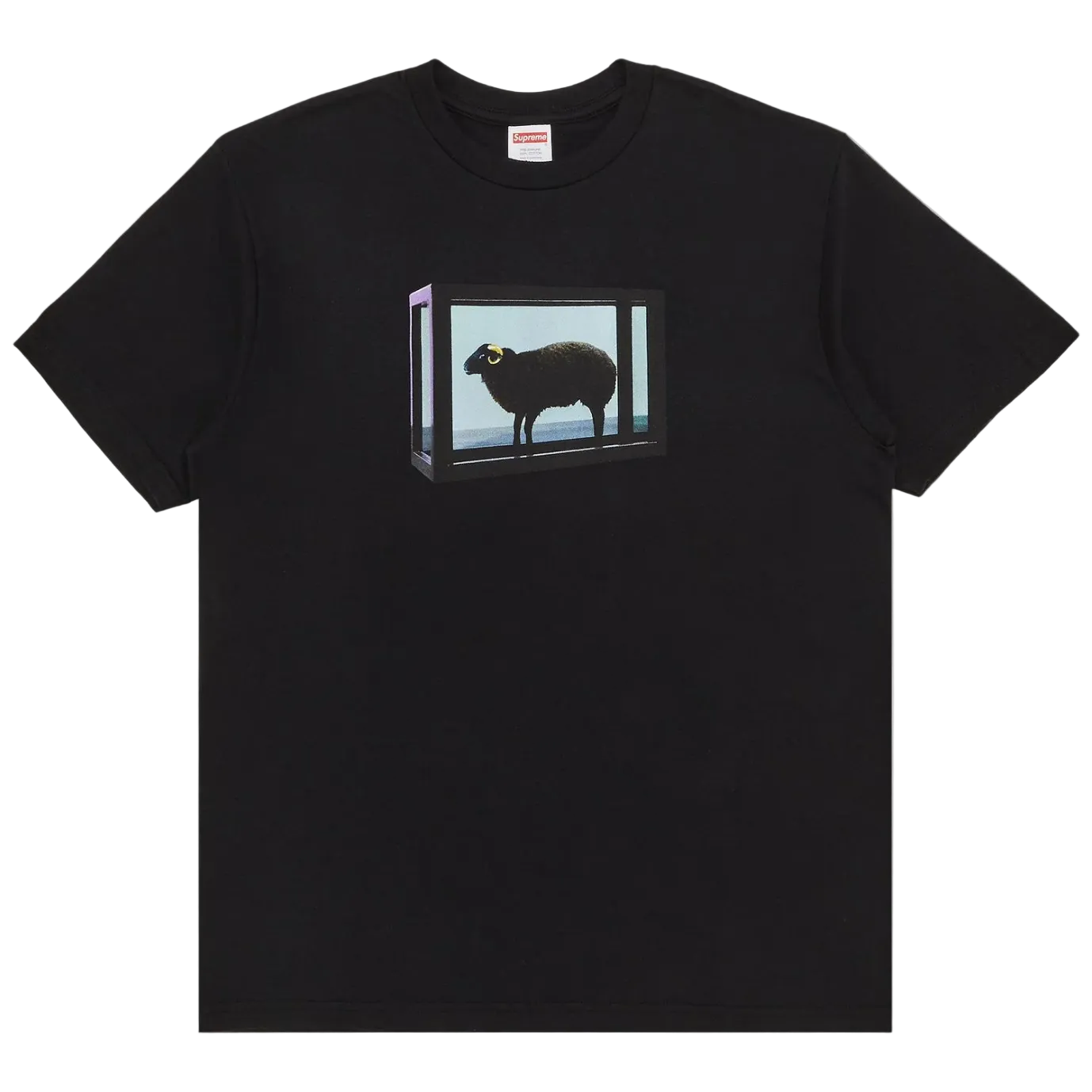 Supreme x Damien Hirst Tee Black (SS25)