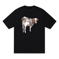 Stüssy Grassfed Tee Black (SS24)