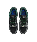 Nike SB Dunk Low There Skateboards