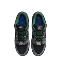 Nike SB Dunk Low There Skateboards