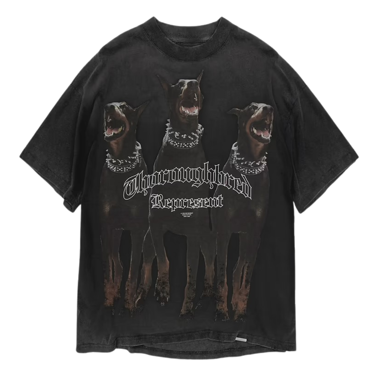 Represent Thoroughbred T-Shirt Vintage Black