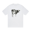 Stüssy Grassfed Tee White (SS24)